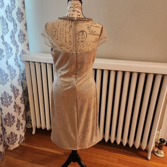 Lauren Ralph Lauren Evening Gold Dress w/ Sheer Bodice, Neck Embellishment Sz 8 - Picture 3 of 15